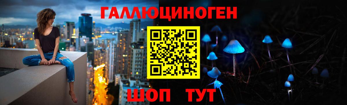 Ейск  Псилоцибиновые грибы мицелий  Вход с VPN  Псилоцибиновые грибы Psilocybe 